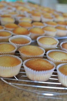 muffins cooling on a rack in the kitchen