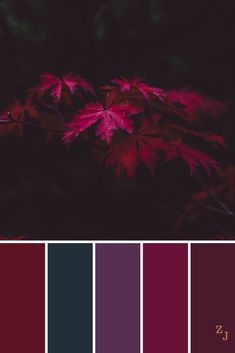 the color palette is red, purple and black with some green leaves on it's left side