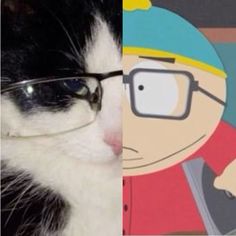 a black and white cat wearing glasses next to a cartoon character