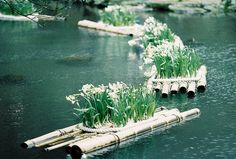 there are several bamboo rafts that have flowers growing out of them in the water