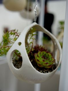 two hanging planters with plants in them