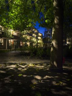 an apartment building lit up at night with trees in the foreground and lights on