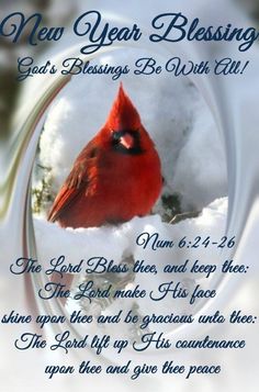 a red bird sitting on top of snow covered ground with the words new year blessing