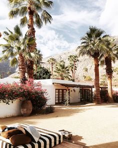 a black and white striped chaise lounge chair in front of a house with palm trees