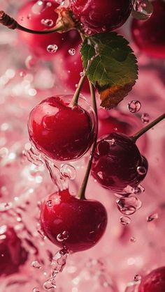 some cherries are floating in the water and on top of each other with leaves