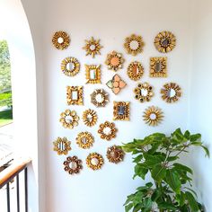 the wall is decorated with many different types of brooches