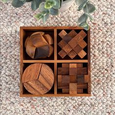 four wooden puzzles in a box on a carpeted surface with succulents