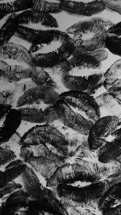 black and white photograph of many feathers