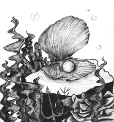 a pencil drawing of a shell and seaweed