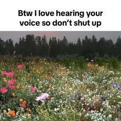 a field full of flowers with the words btw i love hearing your voice so don't shut up