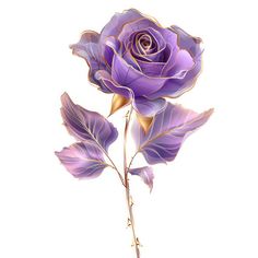 a purple rose with green leaves on a white background is shown in this drawing style