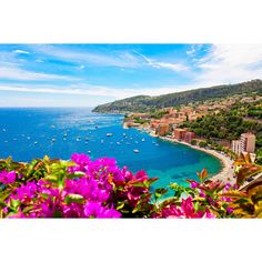 beautiful view of the sea and boats in nice day with blue sky, flowers and green vegetation