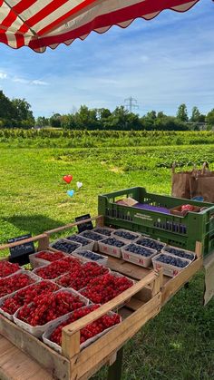 Owning A Farm Aesthetic, Rich Farm Life Aesthetic, Living On A Farm Aesthetic, Farm On The Beach, Summer On The Farm, Farmstand Aesthetic, Country Farm Aesthetic, Farming Aesthetic Country Living, Strawberry Farm Aesthetic