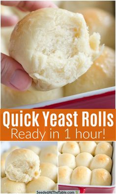 quick yeast rolls are ready in 1 hour and they're so good to eat