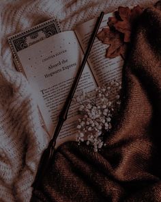 an open book with a feather quill and some flowers next to it on a blanket