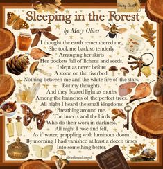 a poem written in the language of sleeping in the forest with pictures of animals and other things