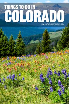 wildflowers and mountains with the words things to do in colorado