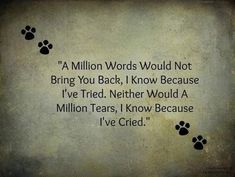 a poem written in black and white with paw prints on the bottom, which reads million words would not bring you back i know because i've tried