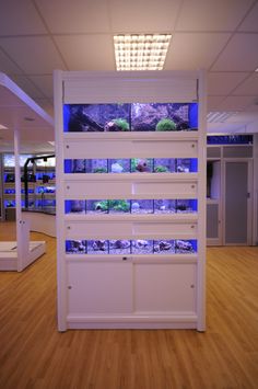 a fish tank in the middle of a room with wood flooring and white walls