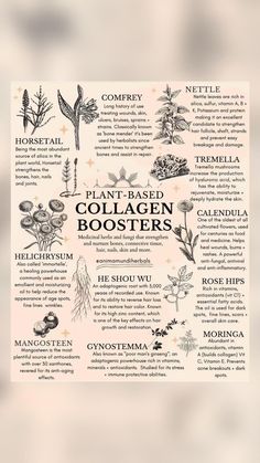 Medicinal Herbs Garden, Medical Herbs, Magic Herbs, Magical Herbs, Herbal Apothecary, Natural Healing Remedies, Healing Plants, Herbal Healing, Home Health Remedies