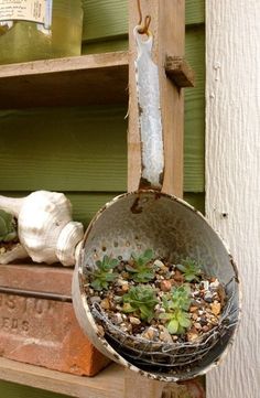 a metal bucket filled with plants on top of a shelf