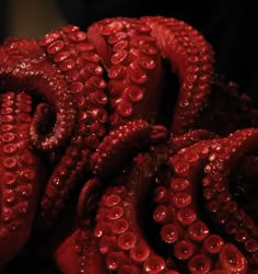 an octopus is sitting on top of some red flowers with water droplets all over it