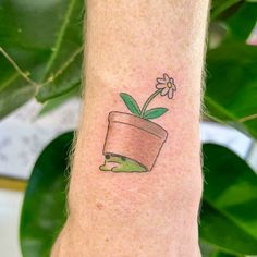 a small potted plant with a single flower in it's center on the wrist