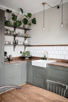 a kitchen with grey cabinets and white subway tile backsplash, potted plant on the wall