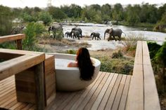 a woman sitting in a bathtub on top of a wooden deck next to elephants