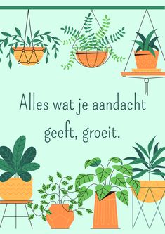 a card that says, alles wat je andach geft groet