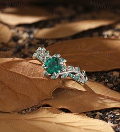 a green ring sitting on top of a leaf in the dirt with leaves around it