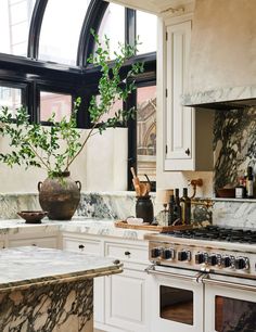 a kitchen with marble counter tops and an oven, potted plant on the stove