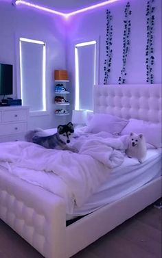 two dogs laying on a white bed in a room with purple lights and decorations around it