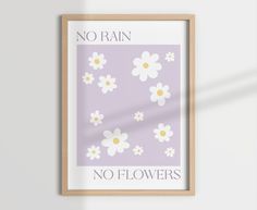 a framed poster with daisies and the words no rain, no flowers on it