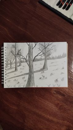 a pencil drawing of a snowy landscape with trees on the left and grass on the right