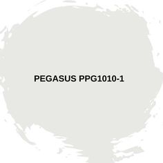 the words pegasus ppp 1011 - 1 are in black and white