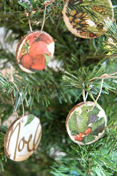 christmas ornaments hanging from a tree with the word joy painted on them and an ornament