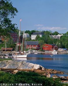 boats are docked in the water near some buildings and trees, along with other houses