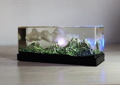 a glass box with mountains in it on a wooden table next to a vase filled with flowers