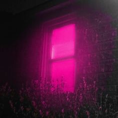 a pink light shines through the window of a brick building in front of a bush