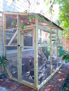 a small backyard with a chicken cage in it