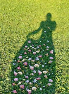 the shadow of a person standing in grass with flowers on it's back ground