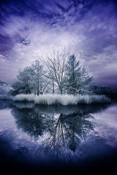 the reflection of trees in the water is very colorful and artistically beautiful, with purple hues