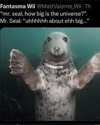 the seal is standing up with his arms outstretched