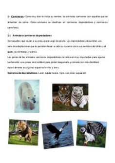 an image of animals and birds in spanish