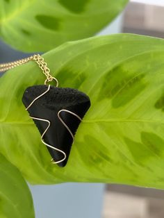 Large shark tooth necklace, wrapped in 24g gold wire. This beautiful shark tooth was found on Topsail Island, NC. Wire Wrapped Shark Tooth, Topsail Island Nc, Topsail Island, Gold Wire