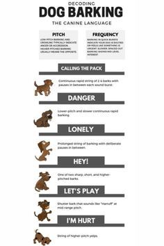 a dog barking poster with instructions on how to use the dogs barking technique in this game