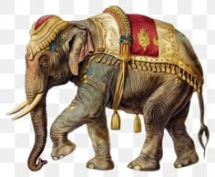 an elephant with gold and red decorations on it's back