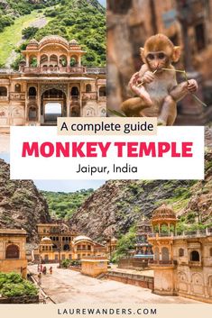 the complete guide to monkey temple in jalpur, india with pictures of monkeys