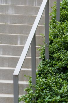 the stairs are covered with green bushes and plants next to it is a white hand rail